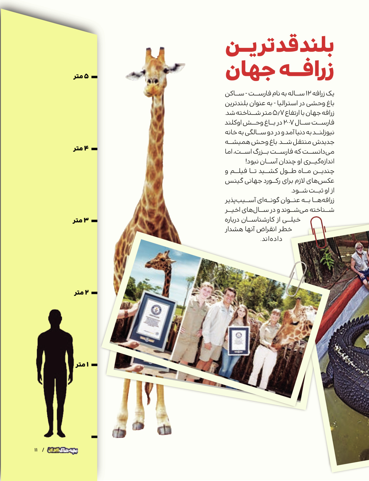 ماه نامه بچه های ایران - شماره یک - ۰۷ شهریور ۱۴۰۲ - صفحه ۱۱