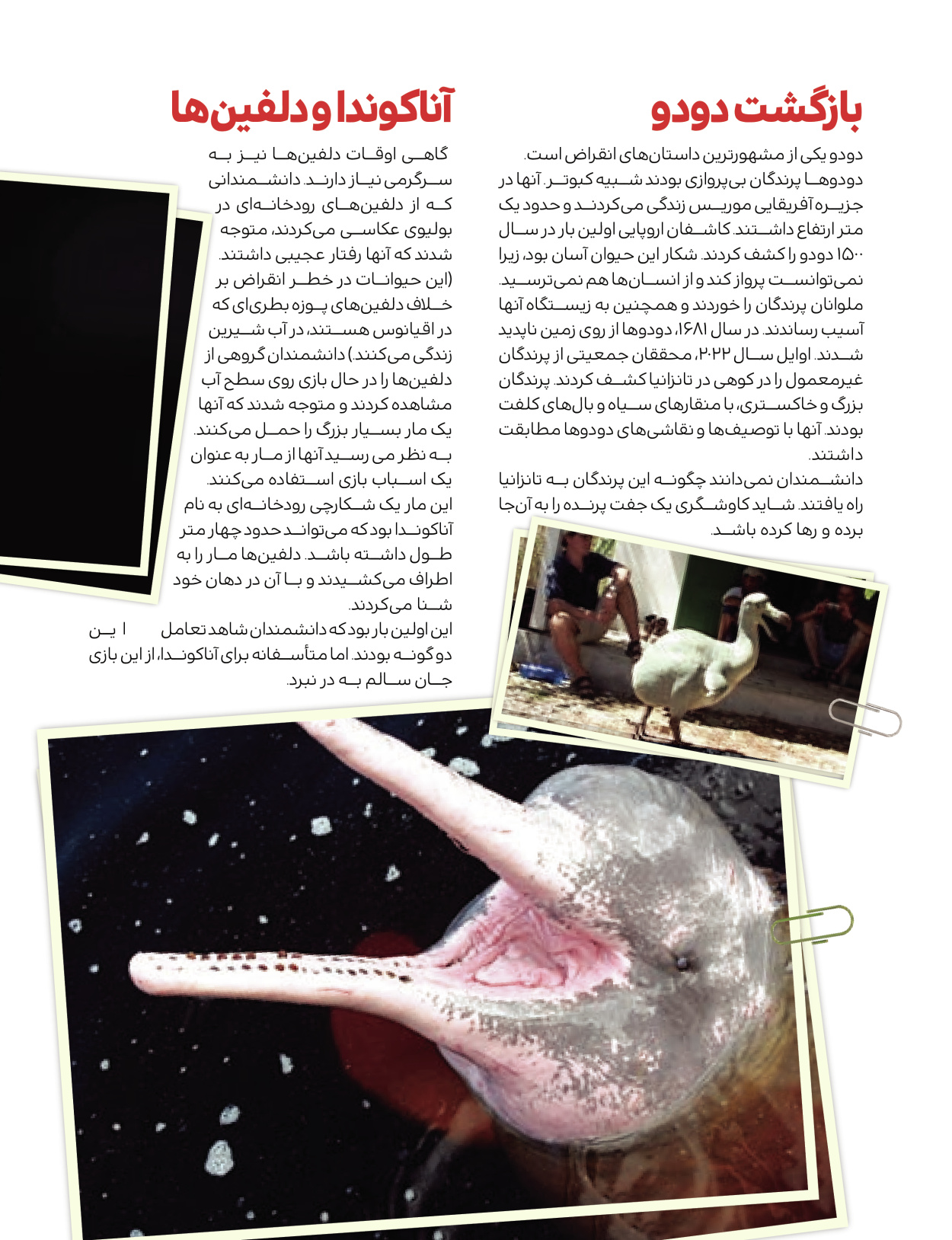 ماه نامه بچه های ایران - شماره یک - ۰۷ شهریور ۱۴۰۲ - صفحه ۱۲