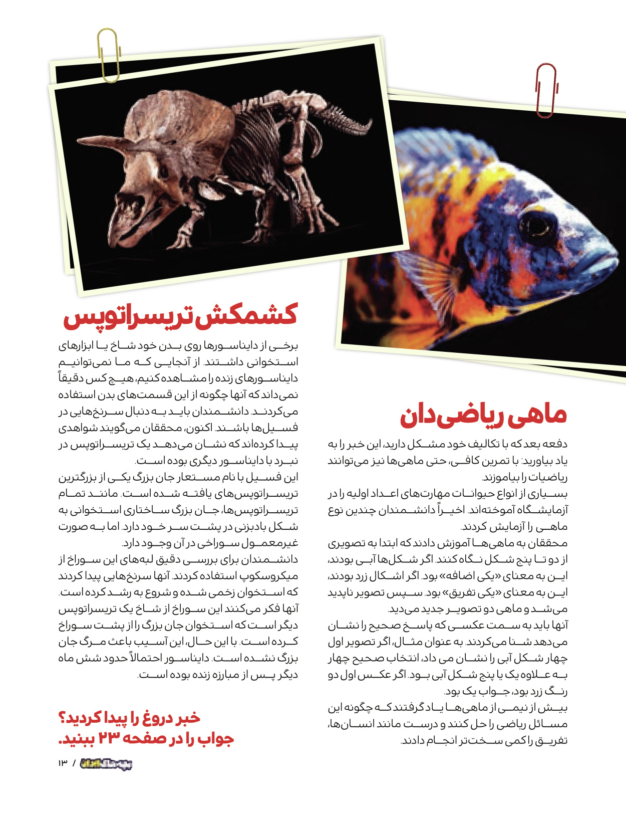 ماه نامه بچه های ایران - شماره یک - ۰۷ شهریور ۱۴۰۲ - صفحه ۱۳